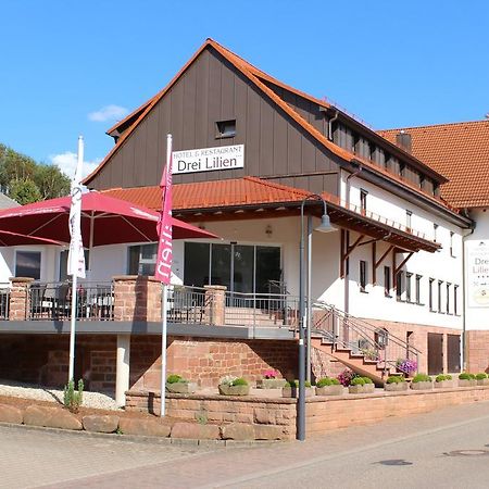 Hotel Drei Lilien Waldbrunn  Zewnętrze zdjęcie