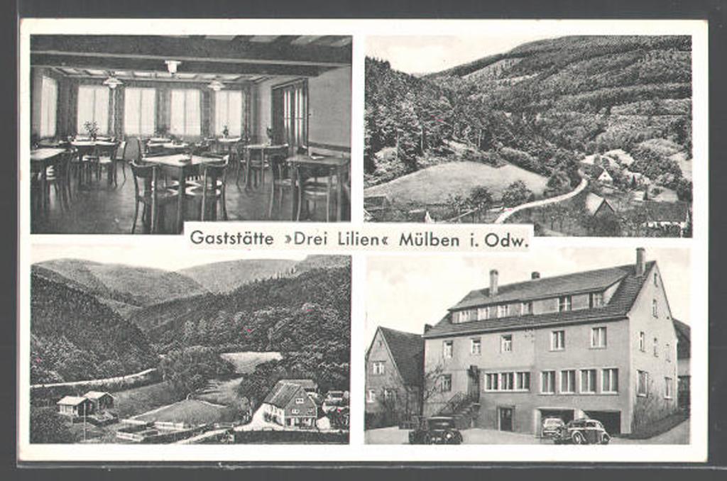 Hotel Drei Lilien Waldbrunn  Zewnętrze zdjęcie