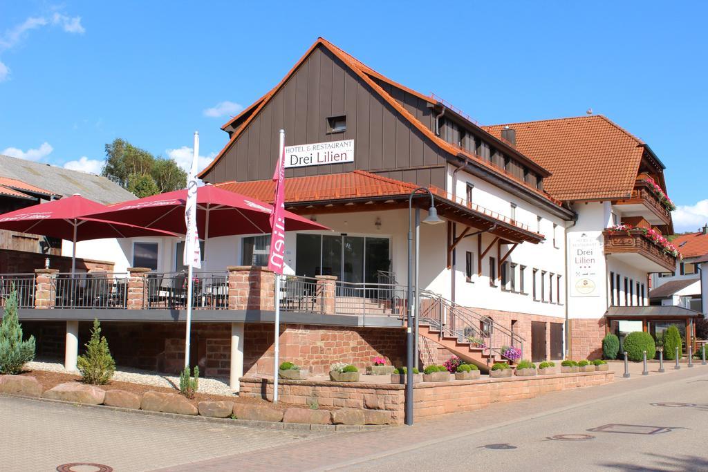 Hotel Drei Lilien Waldbrunn  Zewnętrze zdjęcie